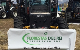 Florestas_del_rei (1)