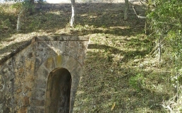 Florestas_del_rei (4)